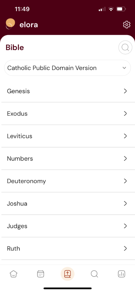 Bible & Magisterium Screenshot